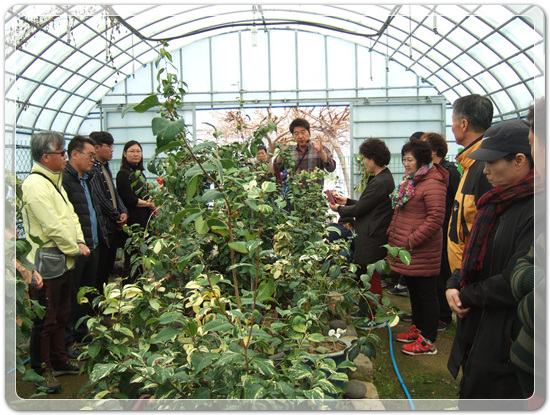 35922062102496891742df6bdf79eb72_1494512