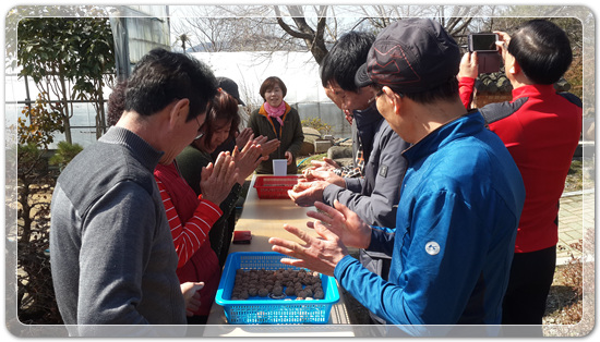 35922062102496891742df6bdf79eb72_1494512