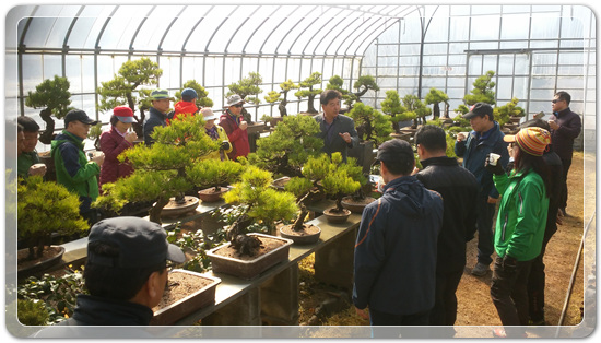 35922062102496891742df6bdf79eb72_1494512