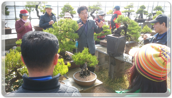 35922062102496891742df6bdf79eb72_1494512