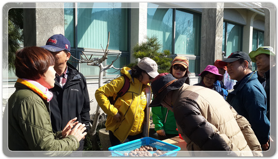 35922062102496891742df6bdf79eb72_1494512