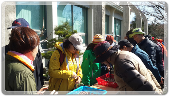 35922062102496891742df6bdf79eb72_1494512