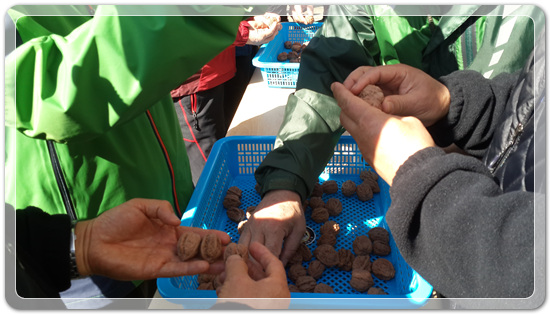 35922062102496891742df6bdf79eb72_1494512