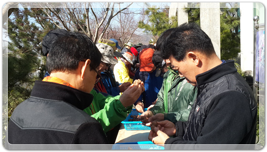 35922062102496891742df6bdf79eb72_1494512