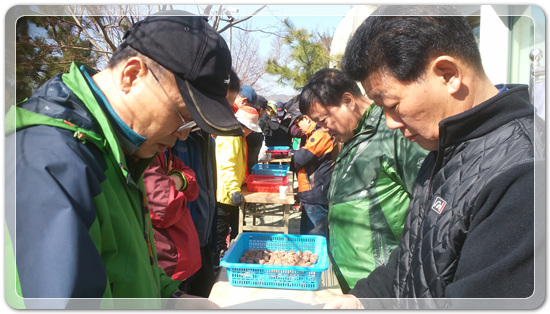 35922062102496891742df6bdf79eb72_1494512