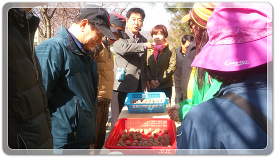 35922062102496891742df6bdf79eb72_1494512