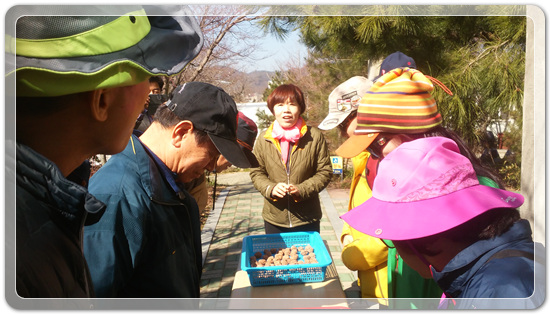 35922062102496891742df6bdf79eb72_1494512