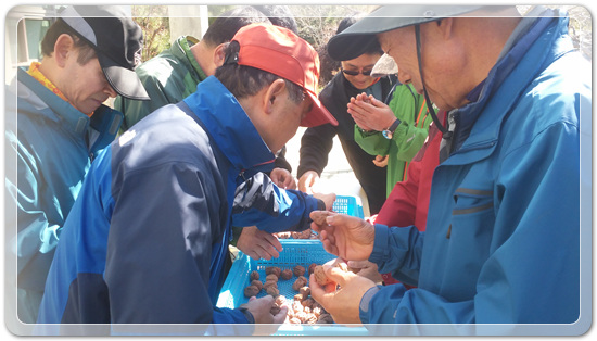 35922062102496891742df6bdf79eb72_1494512