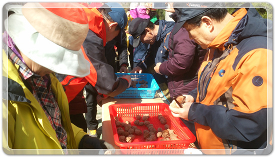 35922062102496891742df6bdf79eb72_1494512