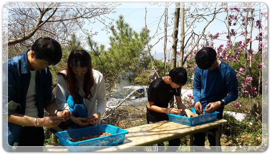 35922062102496891742df6bdf79eb72_1494512