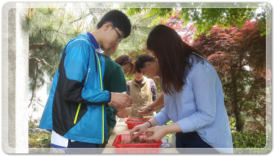 35922062102496891742df6bdf79eb72_1494512