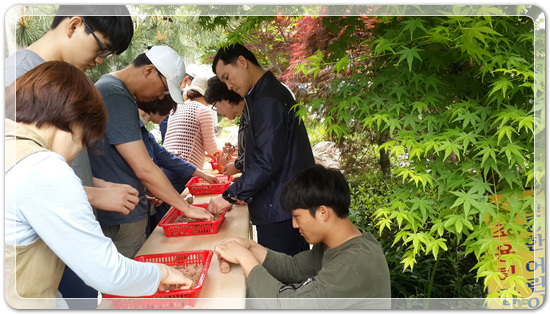 35922062102496891742df6bdf79eb72_1494512