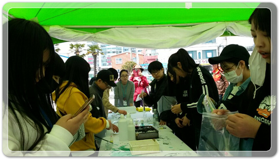 35922062102496891742df6bdf79eb72_1494512