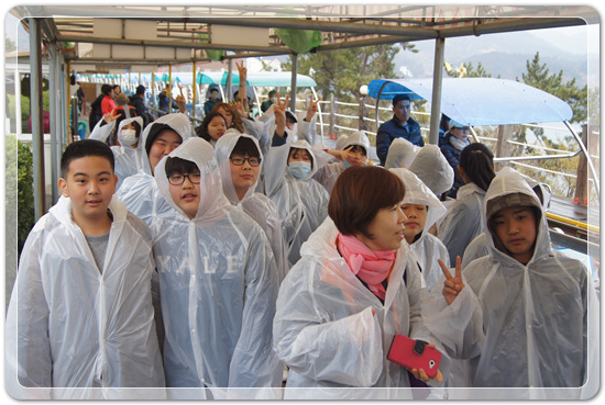 35922062102496891742df6bdf79eb72_1494512