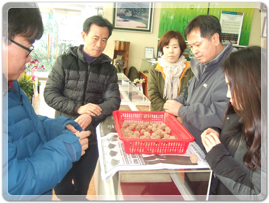 35922062102496891742df6bdf79eb72_1494512