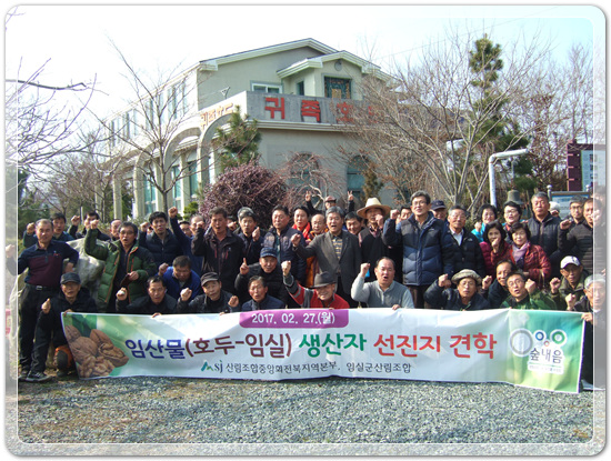 35922062102496891742df6bdf79eb72_1494512