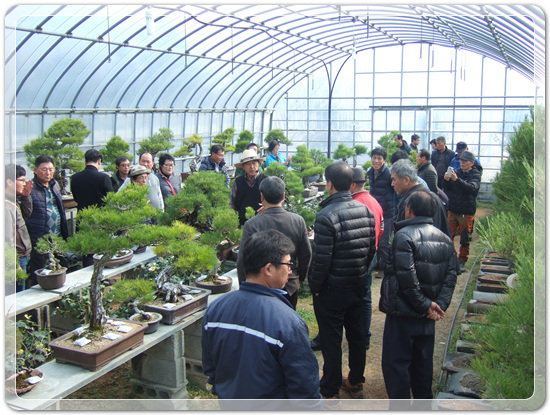 35922062102496891742df6bdf79eb72_1494512