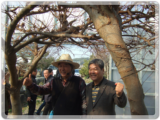 35922062102496891742df6bdf79eb72_1494512