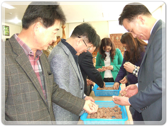 35922062102496891742df6bdf79eb72_1494512