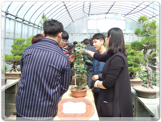 35922062102496891742df6bdf79eb72_1494512