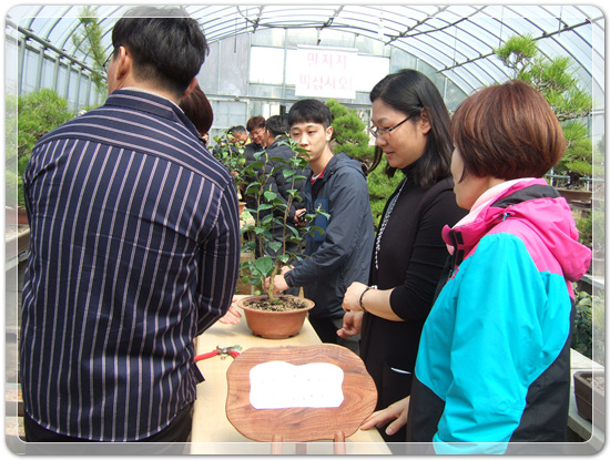 35922062102496891742df6bdf79eb72_1494512