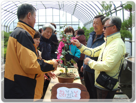 35922062102496891742df6bdf79eb72_1494512