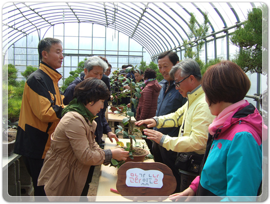 35922062102496891742df6bdf79eb72_1494512