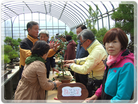 35922062102496891742df6bdf79eb72_1494512