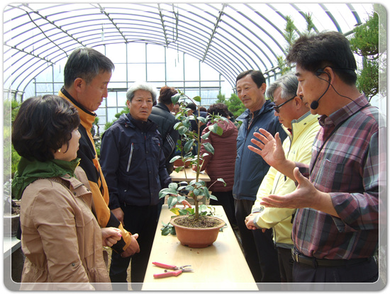 35922062102496891742df6bdf79eb72_1494512