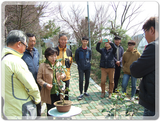 35922062102496891742df6bdf79eb72_1494512