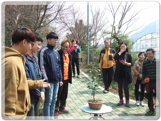 35922062102496891742df6bdf79eb72_1494512