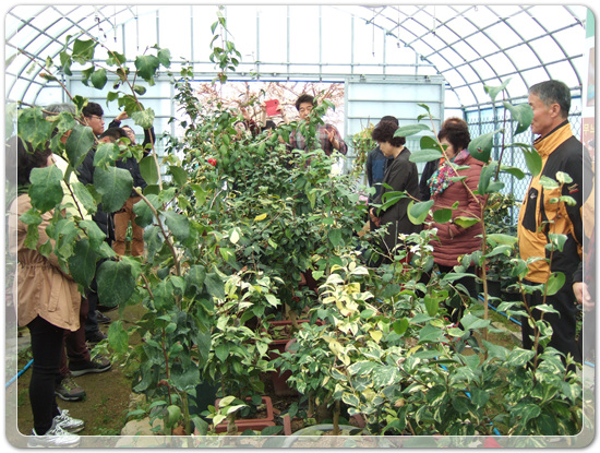 35922062102496891742df6bdf79eb72_1494512