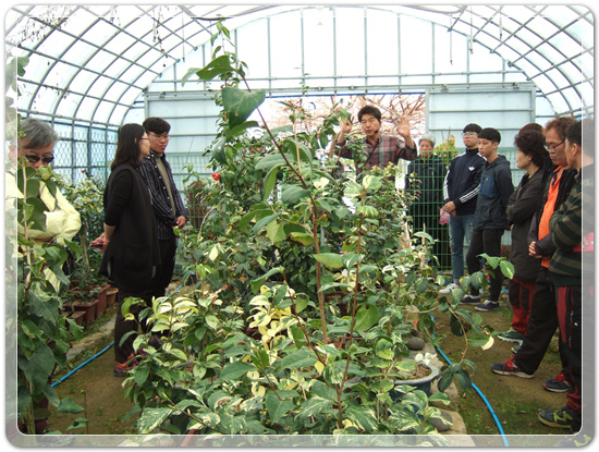 35922062102496891742df6bdf79eb72_1494512