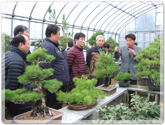 35922062102496891742df6bdf79eb72_1494512