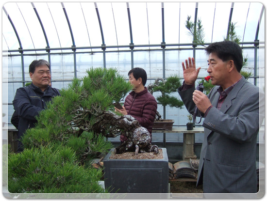 35922062102496891742df6bdf79eb72_1494512