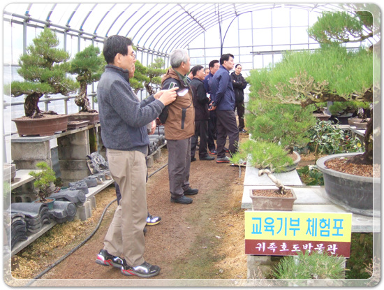 35922062102496891742df6bdf79eb72_1494512