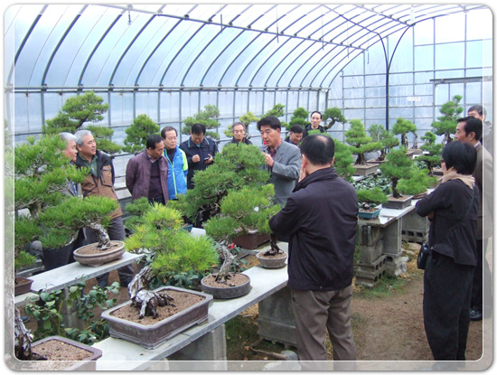 35922062102496891742df6bdf79eb72_1494512