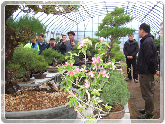 35922062102496891742df6bdf79eb72_1494512