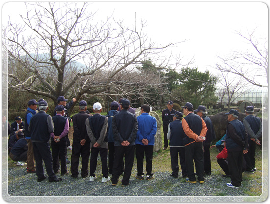 35922062102496891742df6bdf79eb72_1494512