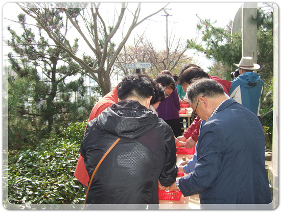 35922062102496891742df6bdf79eb72_1494512