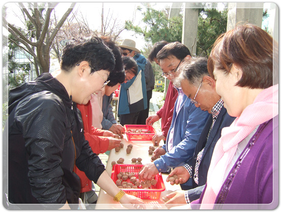 35922062102496891742df6bdf79eb72_1494512