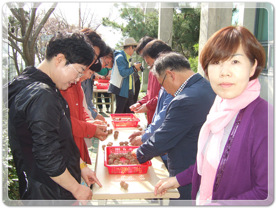 35922062102496891742df6bdf79eb72_1494512