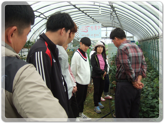 35922062102496891742df6bdf79eb72_1494512