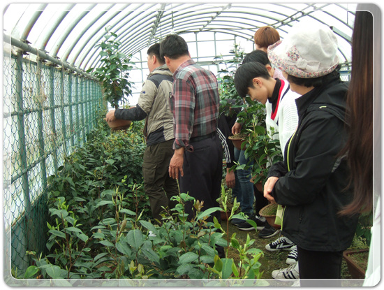 35922062102496891742df6bdf79eb72_1494512