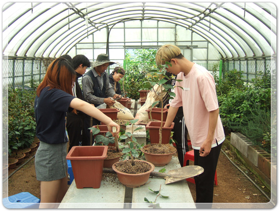 35922062102496891742df6bdf79eb72_1494512