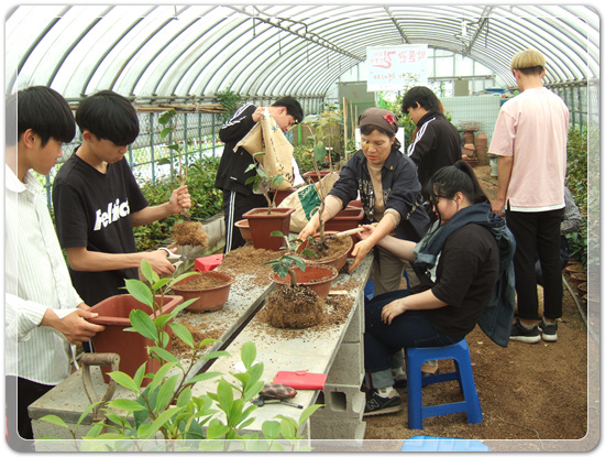 35922062102496891742df6bdf79eb72_1494512