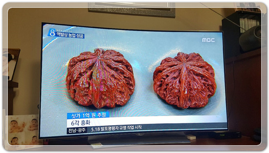 3e2fdfe3f3399aca931784e20d0efbf6_1494588