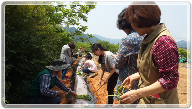 3e2fdfe3f3399aca931784e20d0efbf6_1494762