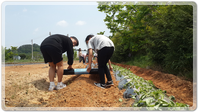 3e2fdfe3f3399aca931784e20d0efbf6_1494762