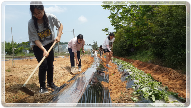 3e2fdfe3f3399aca931784e20d0efbf6_1494762